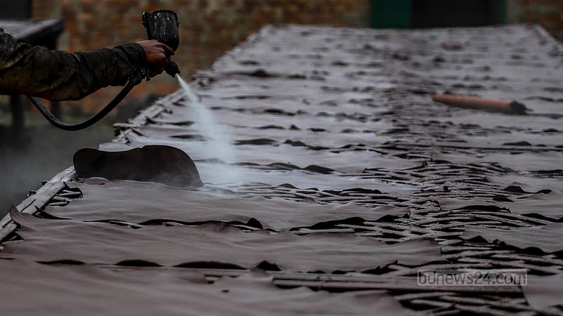After dyes are applied at this factory in Dhaka’s Hazaribagh, leathers of different colours are transported to various parts of the country.