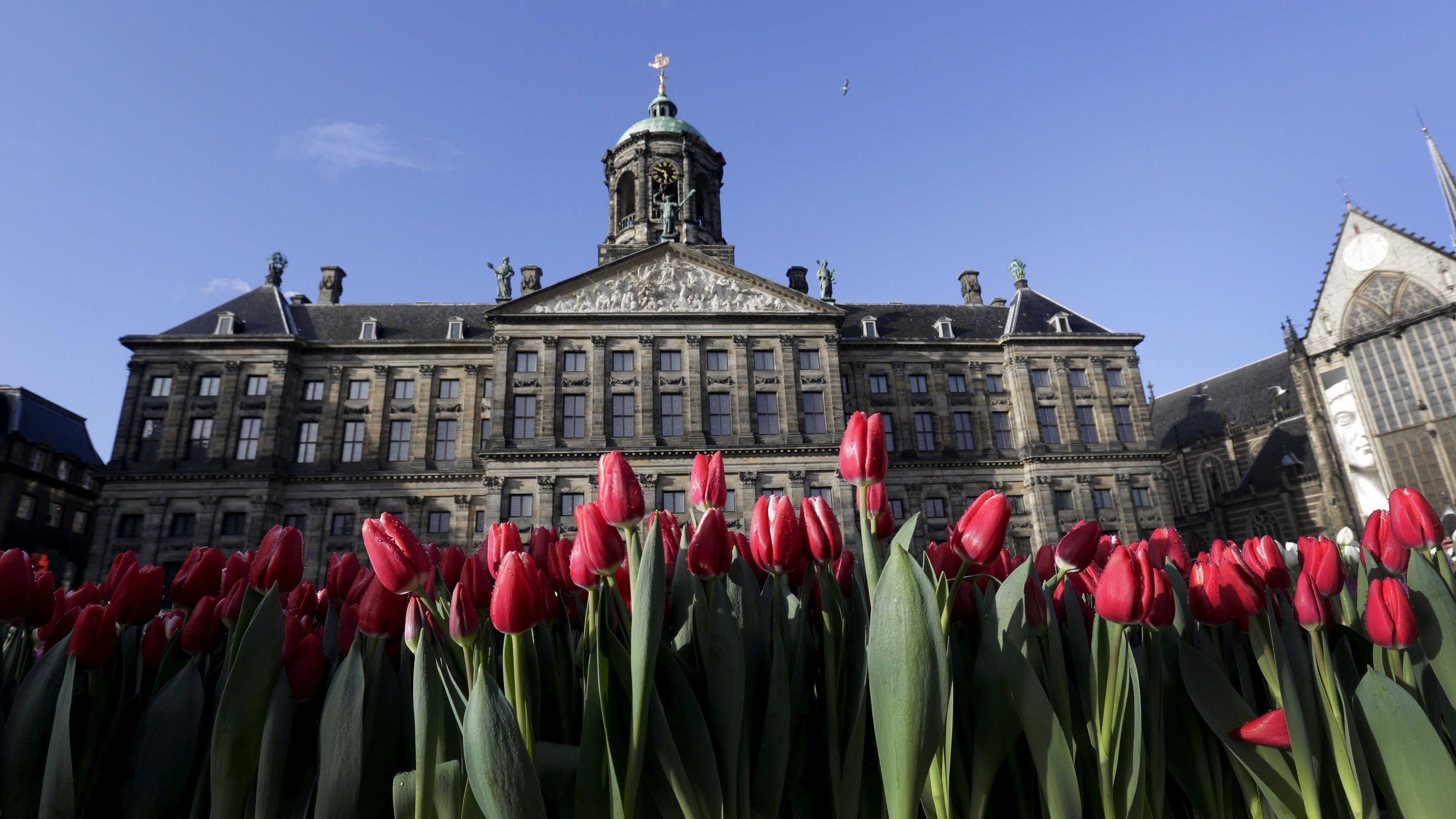 48 HOURS: How to experience Amsterdam? Tips from an online travel expert