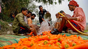 An age-old method of cleaning carrots