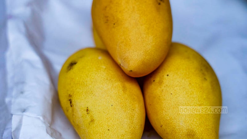 The Yellow Thai Cookie mangoes, a variety from Thailand which according to a seller is exquisitely sweet, are a premium selection available at Tk 1,000 per kg in Dhaka’s Paltan.