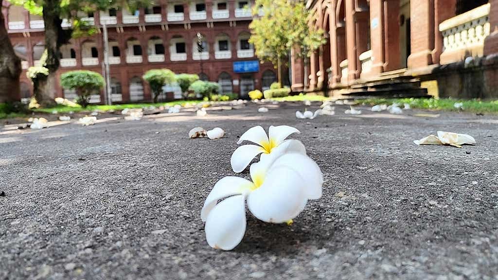 Bangladesh has over 150 universities, but are they providing a quality education?