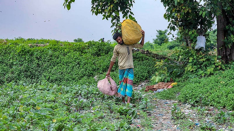 A person is carrying vegetables harvested from the landfill at Matuail. Photo: Abdullah al Momin