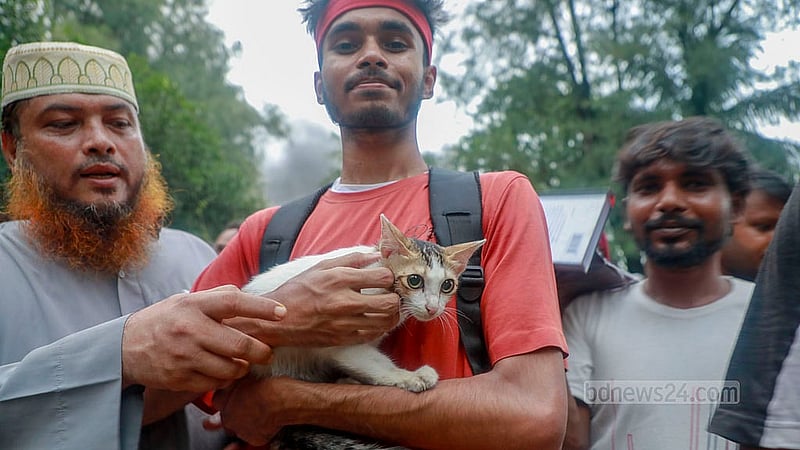An individual took away a pet cat from Ganabhaban. Photo: Muhammad Mostafigur Rahman