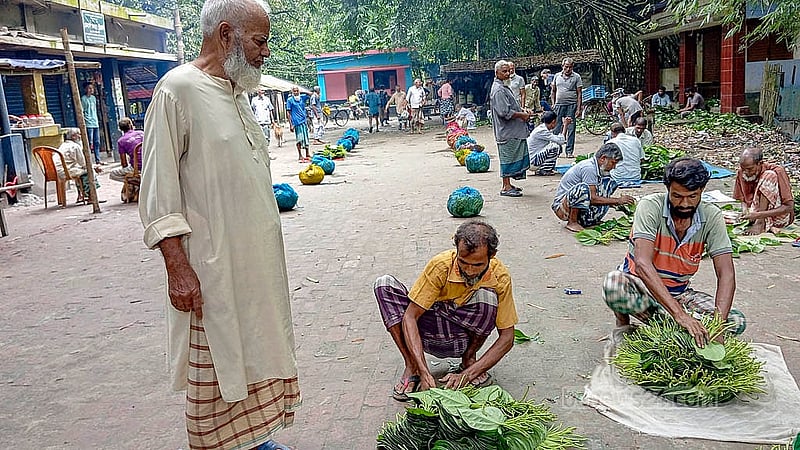 The Jadupar betel market runs every morning from 8am-10am in Chapainawabganj. Photo: Abul Hayat Shahin