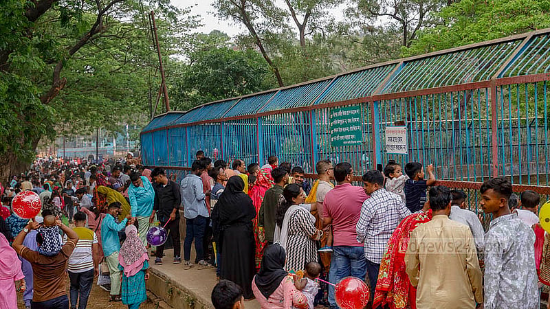 Visitors gather outside the cage of tigers at the National Zoo in Dhaka's Mirpur a day after the Eid on Tuesday, Apr 1, 2025. Photo: Mahmud Zaman Ovi
