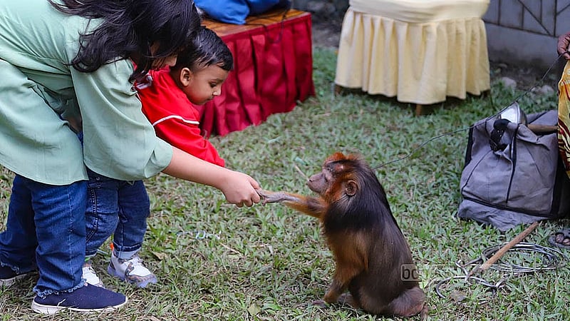 Monkeys perform for the crowd during the Christmas celebrations at the Pan Pacific Sonargaon Hotel in Dhaka. Children shake hands with monkeys at the event. Photo: Abdullah al Momin