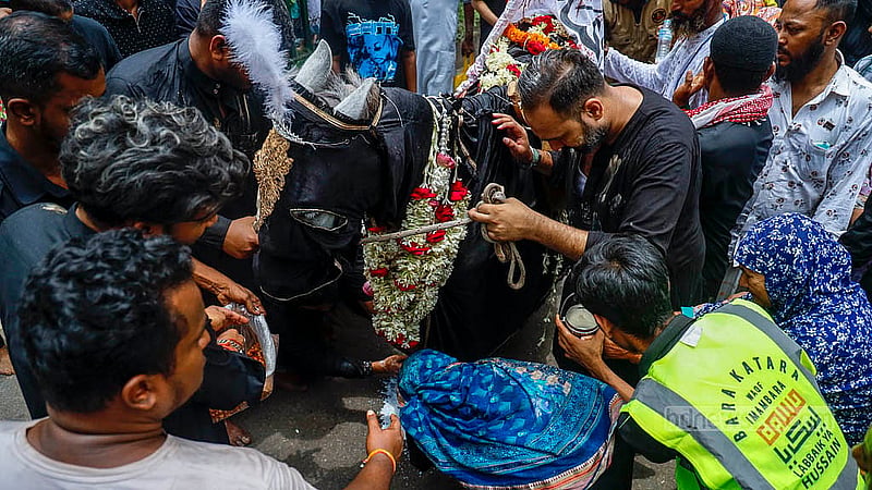 In the Tazia procession that started from Dhaka’s Hussaini Dalan on Sunday, Jul 6, 2025, a horse's feet are being washed with milk as per the custom. Photo: Mahmud Zaman Ovi