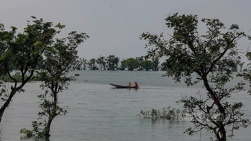 Locals sit in dinghies and several other kinds of boats to catch fish in the clear waters of Tanguar Haor in Sunamganj. Photo: Mahmud Zaman Ovi