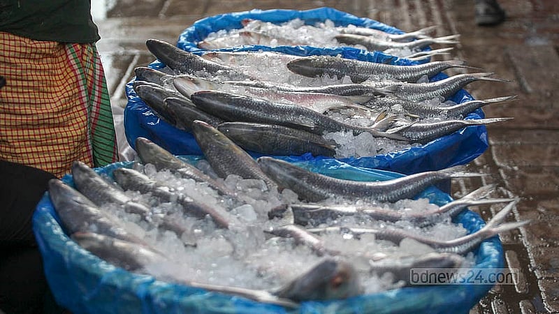 Vendors have set up stalls on the footpath in front of Karwan Bazar Railway Gate, displaying their hilsa for sale. Photo: Abdullah Al Momin
