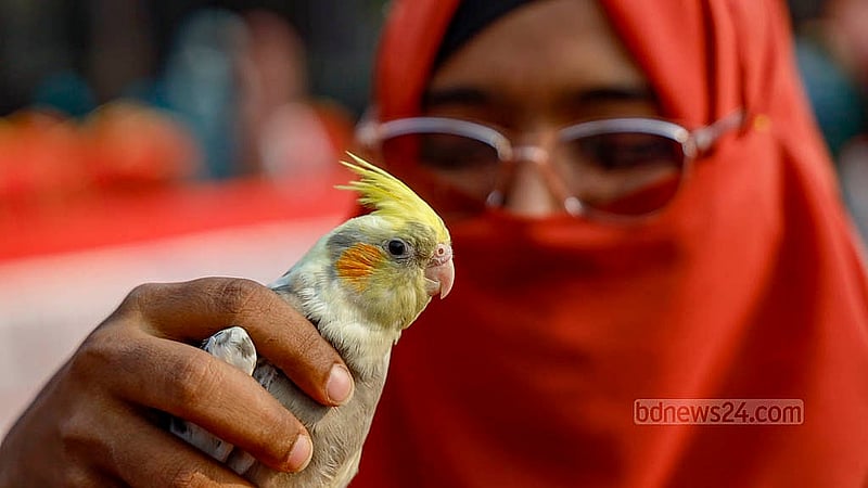 A pet lover shows off their cockatiel named Mimi at the first-ever Pet Carnival held at Dhaka University’s TSC on Tuesday, Jan 20, 2026, where pet owners brought their animals.Photo: Mahmud Zaman Ovi