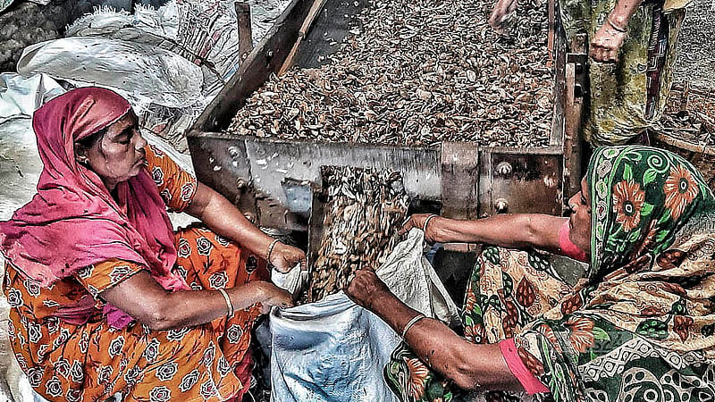 The crushed bones are fed into a machine for processing. Photo: Abdullah al Momin