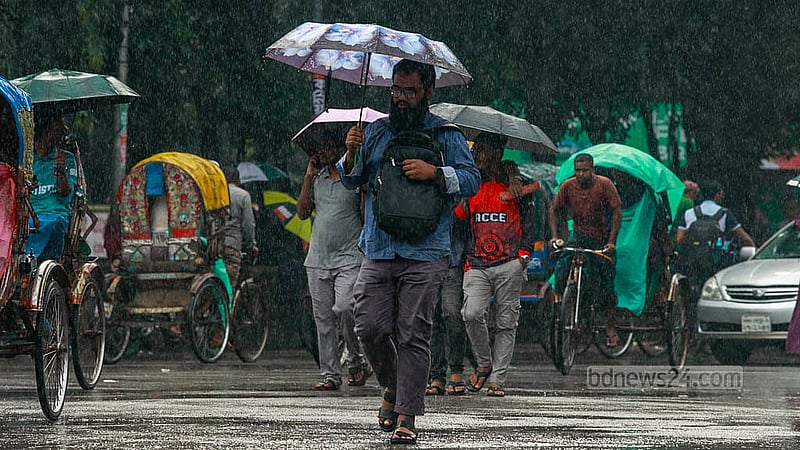 Almost everyone carries umbrellas amid the daylong rain in Dhaka on Thursday, Oct 3, 2024. Photo: Mahmud Zaman Ovi