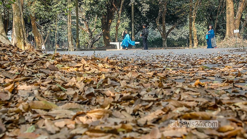 The park’s beauty is magnified by the autumnal carpet, where visitors sit and soak in the serene, leaf-strewn scenery.  Photo: Abdullah al Momin