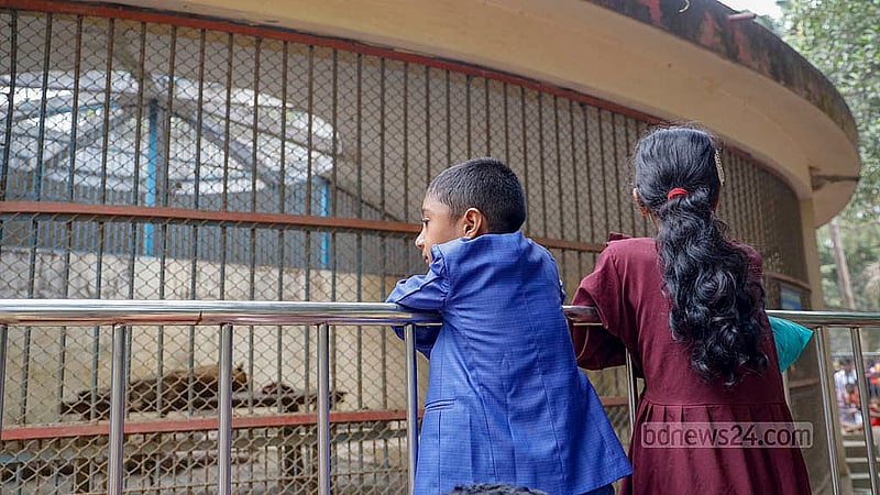 Visitors gather outside the cage of tigers at the National Zoo in Dhaka's Mirpur a day after the Eid on Tuesday, Apr 1, 2025. Photo: Mahmud Zaman Ovi