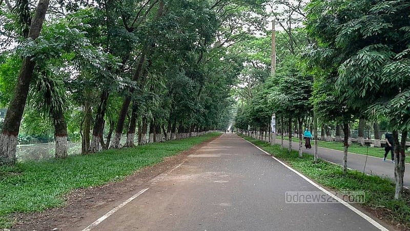 The ‘Kiloroad’ has become a major attraction, for tourists as well as students.