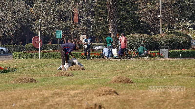 The South Plaza of parliament has been adorned with blooming flowers as part of the preparations for the first-ever cabinet oath to be held at the venue. Photo: Mahmud Zaman Ovi