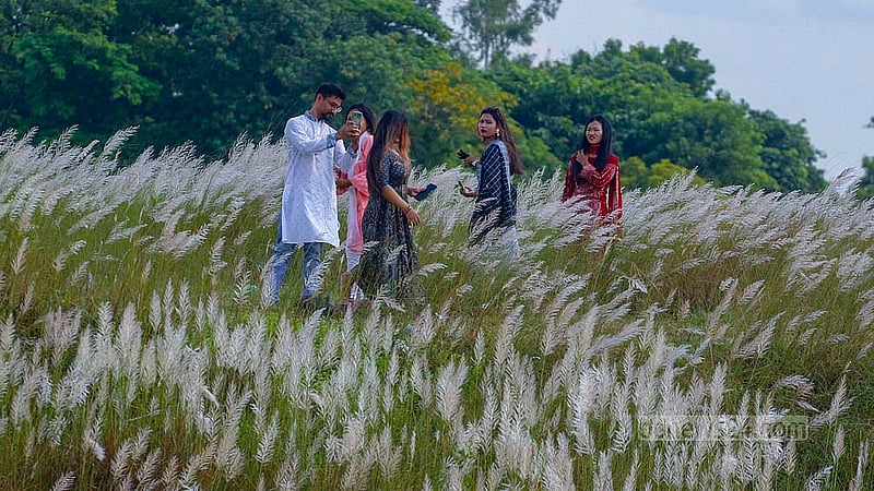 Several people enjoy the beauty of the Kashful field on an autumn afternoon at Keraniganj’s Sarighat.