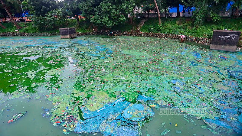 Garbage piled up in Hatirjheel water in the Kunipara area of Dhaka’s Tejgaon is rotting and emitting a foul smell. Photo: Abdullah Al Momin