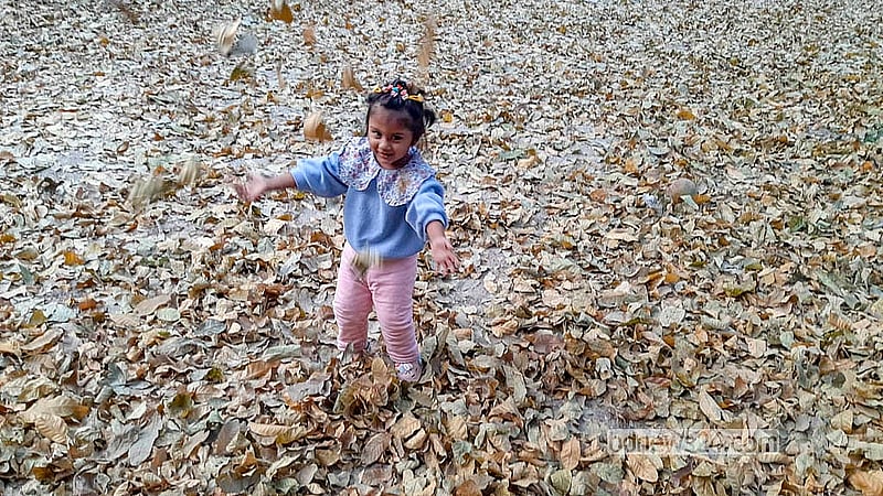 Amid the falling leaves, a child gleefully plays, revelling in the season’s final touches. Photo: Abdullah al Momin