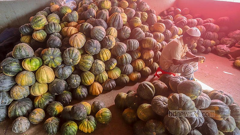 Pumpkins are sold for Tk 15 to Tk 30 per kg. Photo: Abdullah al Momin