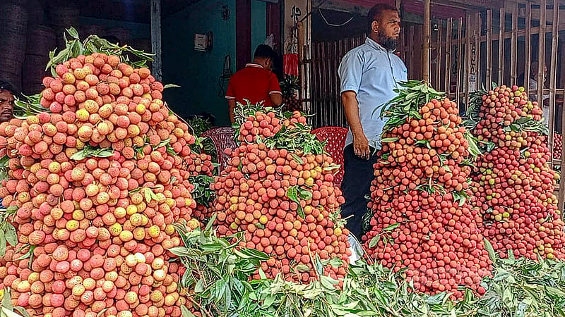 Dinajpur’s Bedana lychee was supposed to be available at the end of May and the beginning of June. However, it hit the market early due to adverse weather and other reasons. Photo: Morshedur Rahman