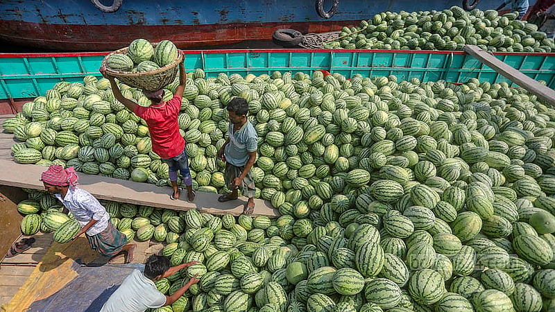 Labourers unload watermelons from trawlers at Old Dhaka’s Waisghat. Photo: Abdullah al Momin