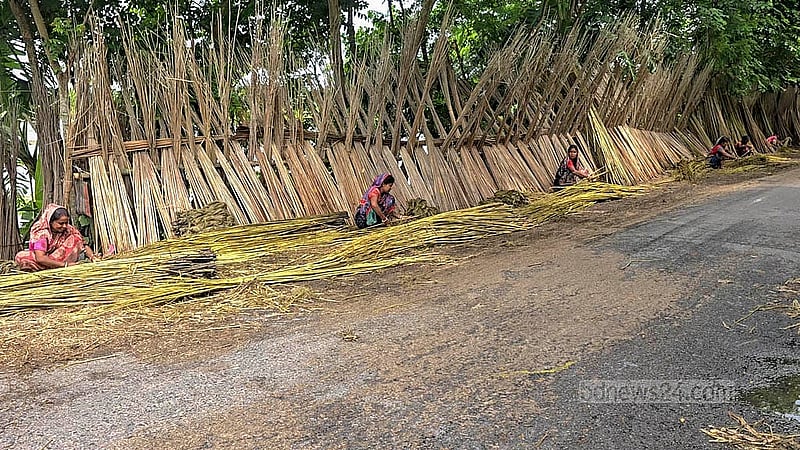 In Faridpur, it’s not just the men - women too join in the labour-intensive jute fibre stripping process. Photo: Sheikh Mofijur Rahman Shipon