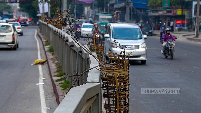 At first the trees planted in the road dividers in the Sobhanbag area of Dhaka’s Mirpur Road flourished, with their branches growing out into the sun. But, neglect and a lack of care has seen many of these trees die out. Photo: Mahmud Zaman Ovi