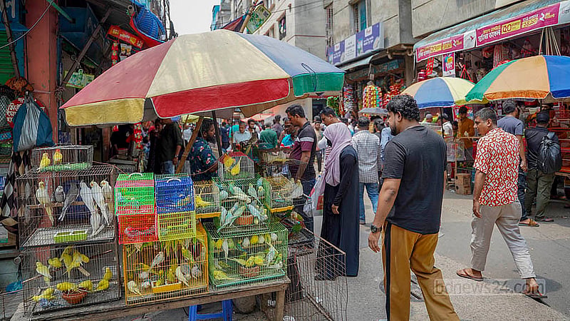 At the Mirpur-1 bird market, sellers display different species of birds every Friday. Photo: Tanjinur Rahman Bhuiyan