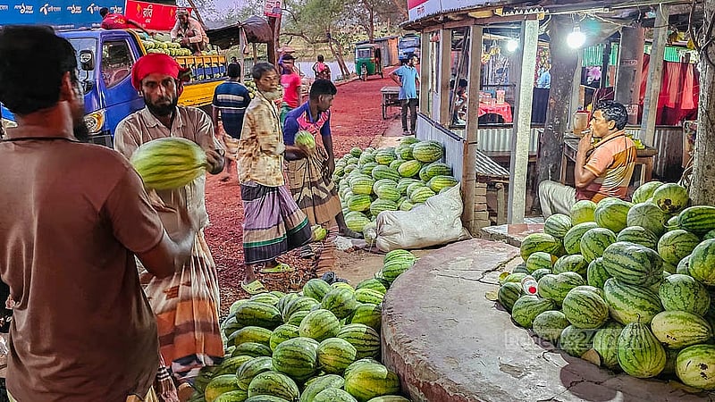 Wholesale buyers are picking up watermelons for Tk 20 to Tk 30 each, drawing traders from all over the country. Photo: Tariqul Hasan