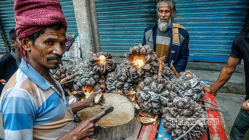 Fruit from the Golpata tree is sold in a van in Dhaka’s Shyampur. Photo: Abdullah Al Momin