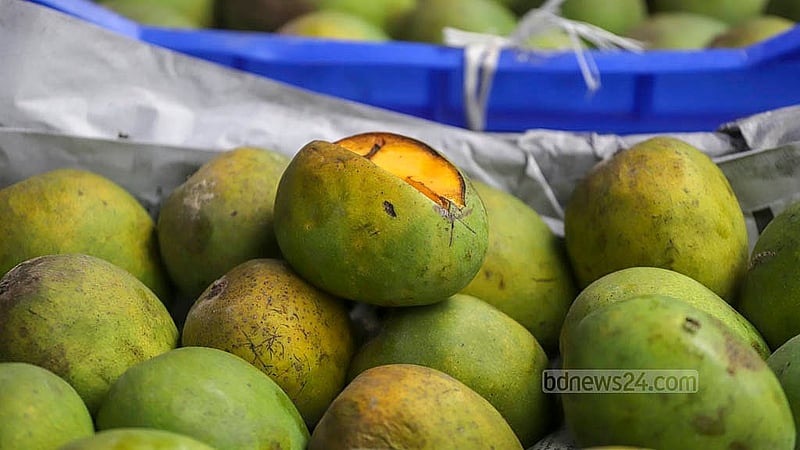 At a wholesale fruit market in the capital’s Jatrabari, ripe mangoes are selling for Tk 40 to Tk 150 per kg, depending on the breed and size. Photo: Abdullah Al Momin