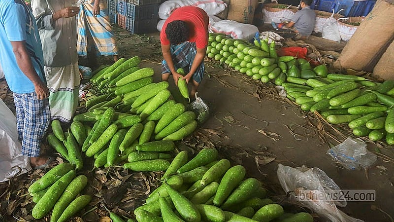 Gourds from Jashore are sold at Tk 30 to Tk 50 per piece, depending on size. Photo: Abdullah al Momin