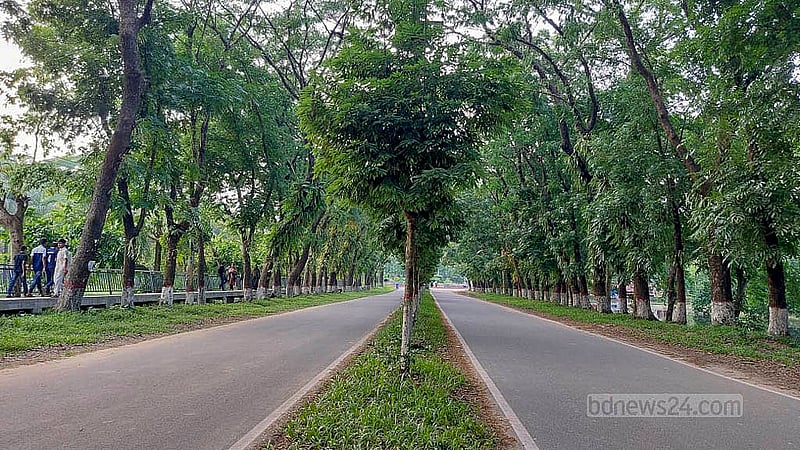 According to Shahjalal University authorities, the trees on the 'Kiloroad' were planted during the time of former Vice-Chancellor Sadruddin Ahmed Chowdhury (1991-92).