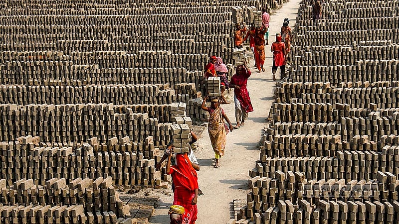 A woman gets a wage of Tk 240 for carrying 1,000 bricks from the brick field to the kiln, earning this rate daily. Photo: Mahmud Zaman Ovi