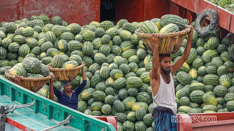 Workers unload watermelons from trawlers at the Wiseghat Dock in Old Dhaka. Photo: Abdullah Al Momin