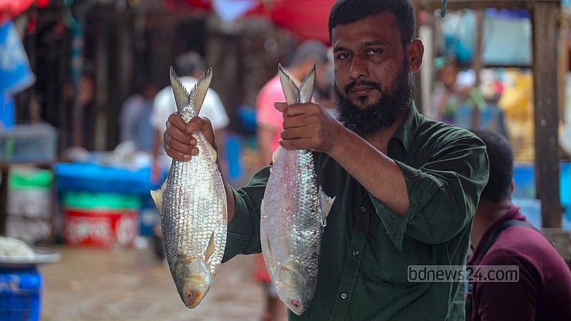 A shopkeeper on the footpath in front of Karwan Bazar railway gate holds up a hilsa for a customer. Photo: Abdullah Al Momin