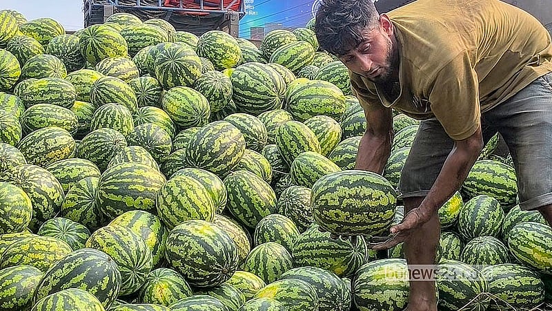 Watermelons are unloaded from trucks at the Mustafapur fruit warehouse in Madaripur, where the watermelons are priced at Tk 25 to Tk 30 per kg. Photo: Ripon Chandra Mallick