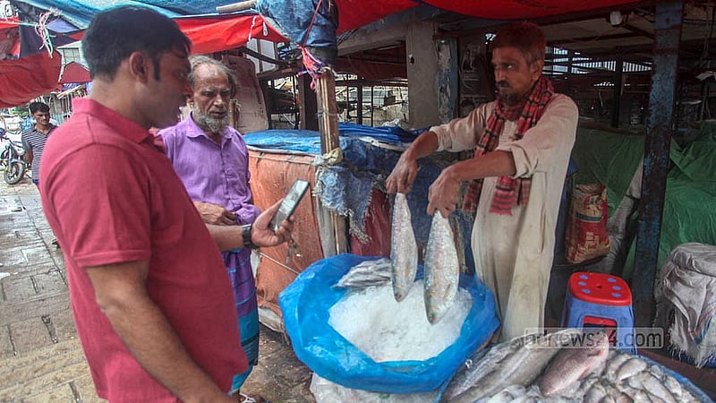 Even during the peak season this year, hilsa prices remain sky-high, leaving buyers frustrated. Some are calling for the government to set a fixed price for hilsa. Photo: Abdullah Al Momin