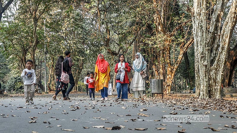 Every day, crowds flock to the capital’s Ramna Park to enjoy the spectacle of leaves cascading from the trees.  Photo: Abdullah al Momin