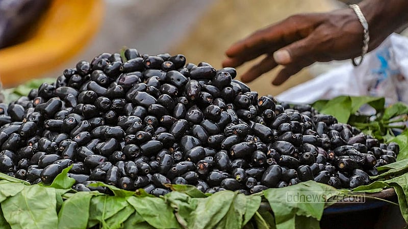 At Dhaka’s Karwan Bazar, java plums are retailing at Tk 400 per kg. Photo: Abdullah Al Momin