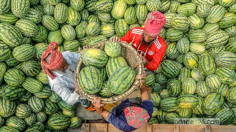 Workers unload watermelons from trawlers at the Wiseghat Dock in Old Dhaka. Photo: Abdullah Al Momin