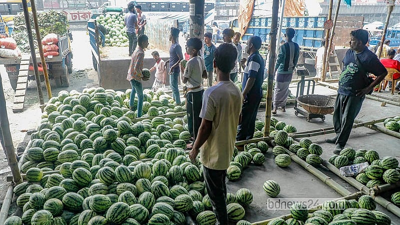 Early-season watermelons are being sold wholesale at a price of Tk 50 to Tk 70 per kg at a shop in Dhaka’s Jatrabari. Photo: Abdullah Al Momin