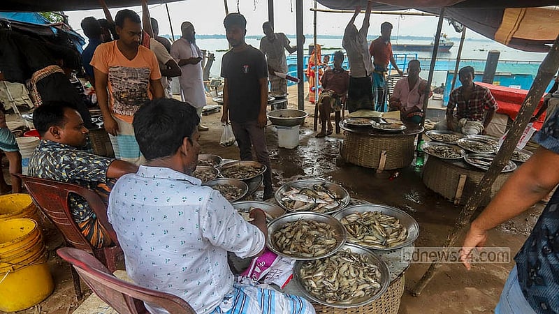 Fish from the Meghna River is sold from dawn to dusk at Baidyer Bazar in Sonargaon, at both wholesale and retail.  Photo: Abdullah Al Momin