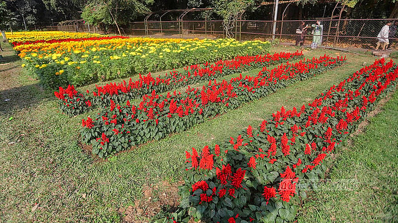 Visitors take photos outside the fences of the gardens at Ramna Park on Tuesday, Jan 21, 2025. Photo: Abdullah al Momin
