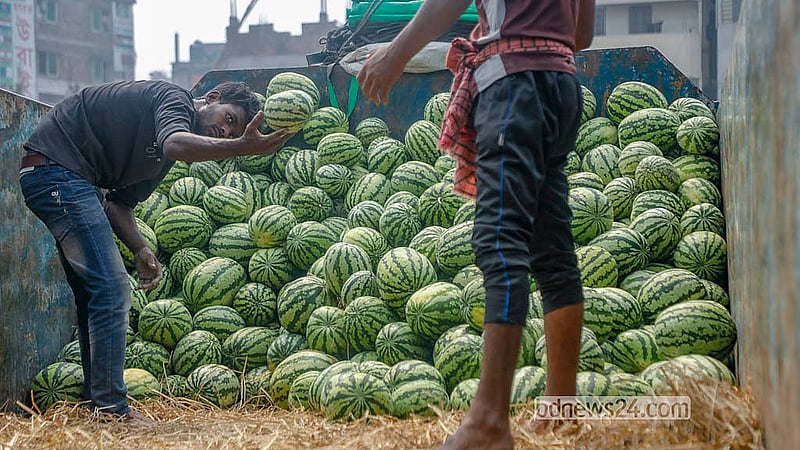 Workers unload Patuakhali watermelons from a truck at a fruit warehouse in Dhaka’s Jatrabari. Photo: Abdullah Al Momin
