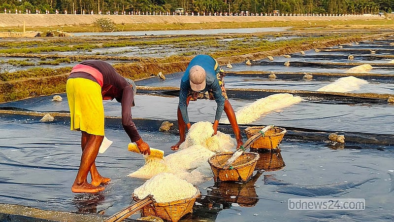 Workers are busy collecting salt from the fields before the season ends. In the meantime, many farmers have left the fields due to the rain. Photo: Jashim Mahmud
