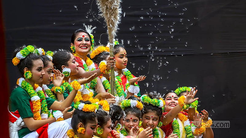 The fluff from a bundle of catkin flowers held by an artist is carried away by the breeze at the Autumn Festival event at Bakultala in the Faculty of Fine Arts at Dhaka University on Friday, Oct 4, 2024. Photo: Abdullah al Momin