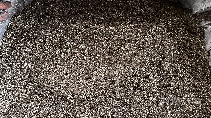 After crushing the bones, the powder that remains is sold as organic fertiliser. The price per maund is Tk 600. Photo: Abdullah al Momin