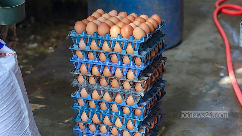 A dozen eggs are being sold for Tk 135 at this poultry farm in the Ghoshkanda area of Dhaka’s South Keraniganj. Photo: Abdullah al Momin